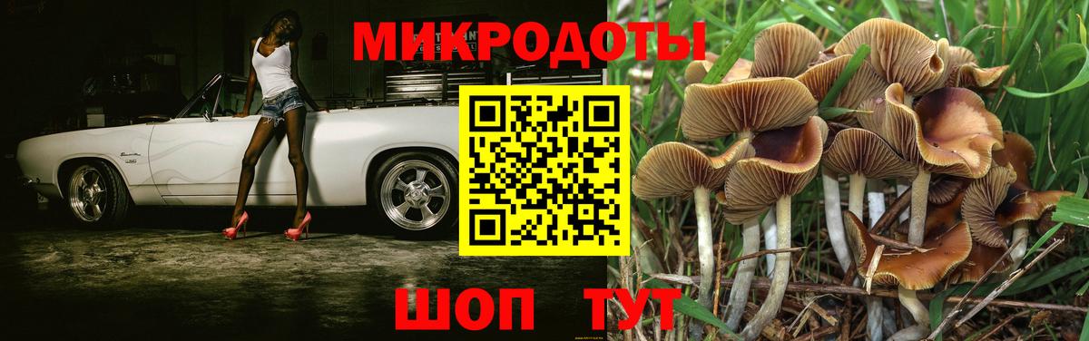 Галлюциногенные грибы прущие грибы Владимир