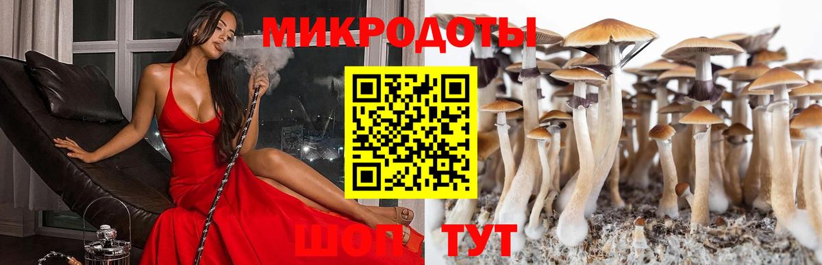 Владимир  Галлюциногенные грибы мухоморы  Вход с VPN 